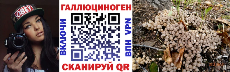 shop Telegram  Калининец  Псилоцибиновые грибы Cubensis  купить наркоту  KRAKEN зеркало 